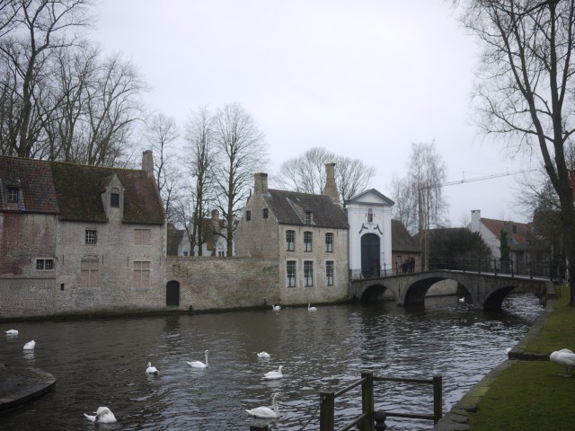 Bruges (68)